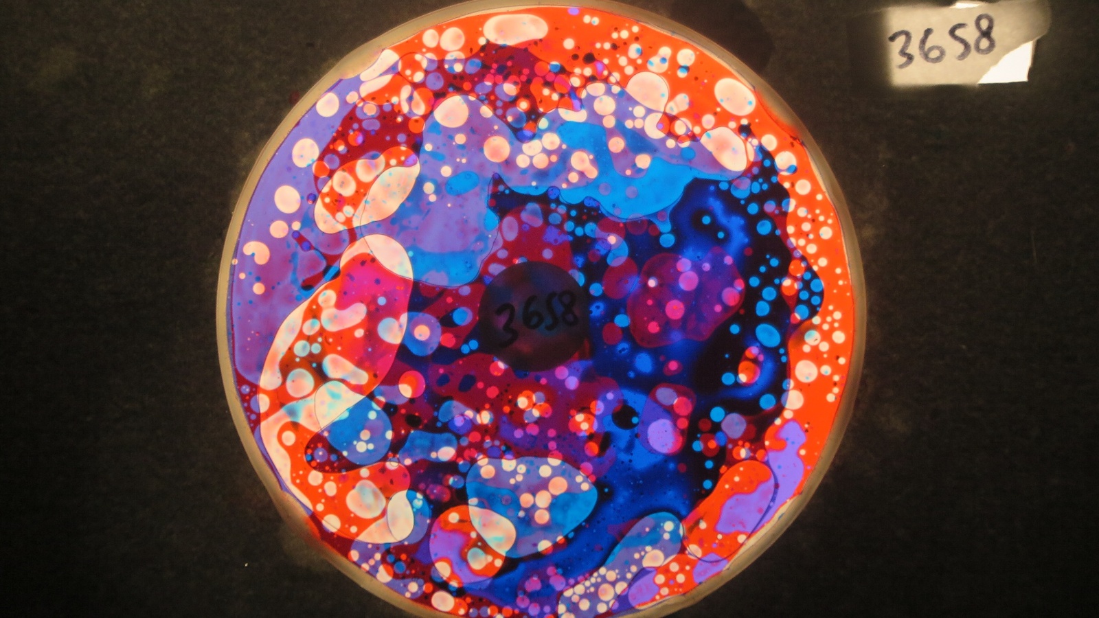 BV3658 bubble vision oil wheel